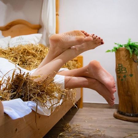 Landhotel Moorhof Franking Екстериор снимка